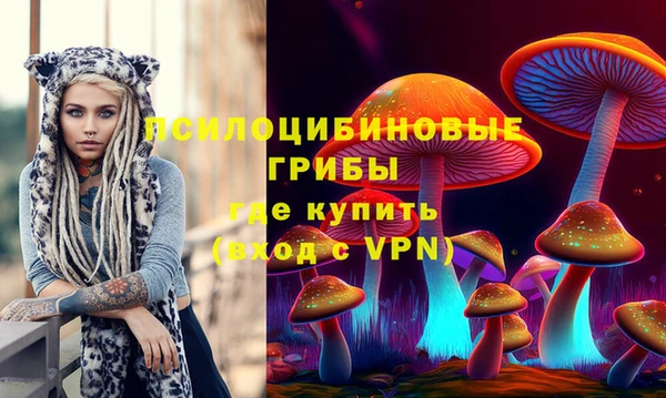 ГАЛЛЮЦИНОГЕННЫЕ ГРИБЫ Богородск