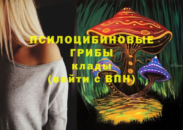 каннабис Богданович