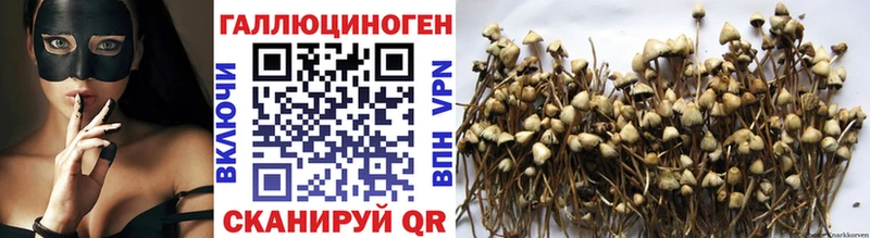Галлюциногенные грибы MAGIC MUSHROOMS Красково